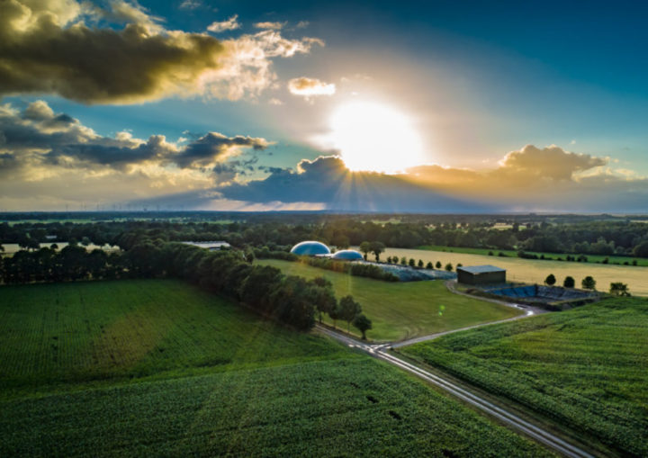 Wide image of some green fields, with trees and hedgerows in the distance.
